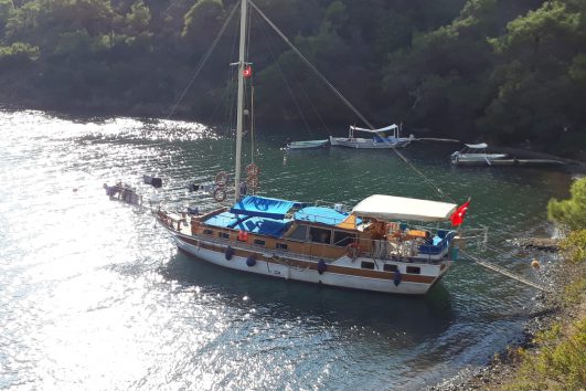 Bodrum Private Boat (Arif)