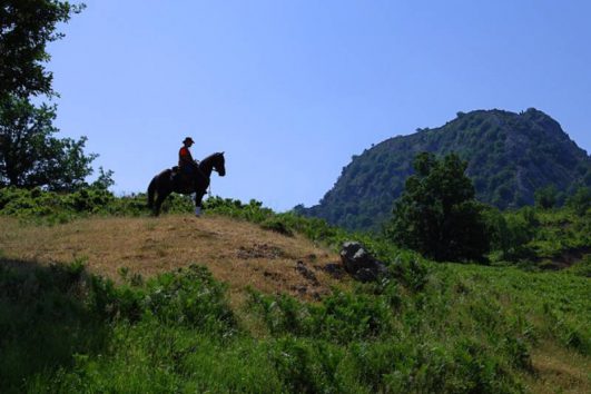 Bodrum Horse Riding