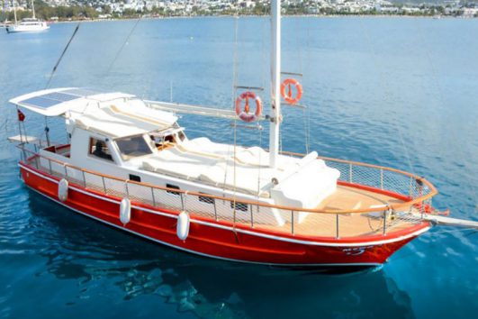 Bodrum Private Boat (Vega)