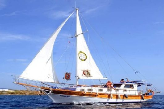 Bodrum Private Boat (Unicorn)